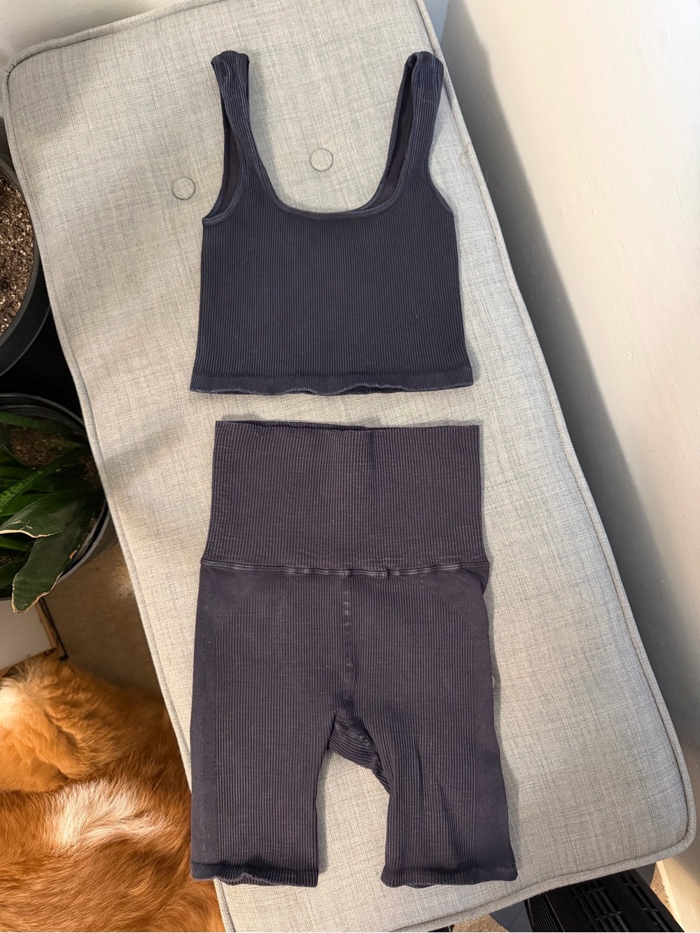 Free People Movement “Happiness Runs” 2 Piece Tank & Short Set (XS/S)
